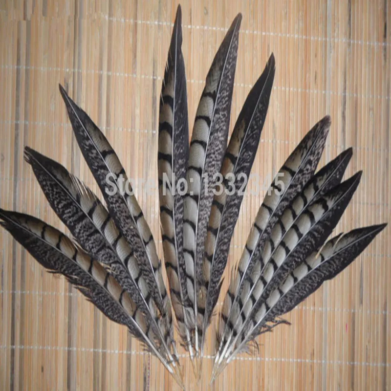 50pcs/lots Natural Bluk Pheasant Tail feathers 10-12inches/25-30cm For Your Crafts
50pcs/lots Natural Bluk Pheasant Tail feathers 10-12inches/25-30cm For Your Crafts