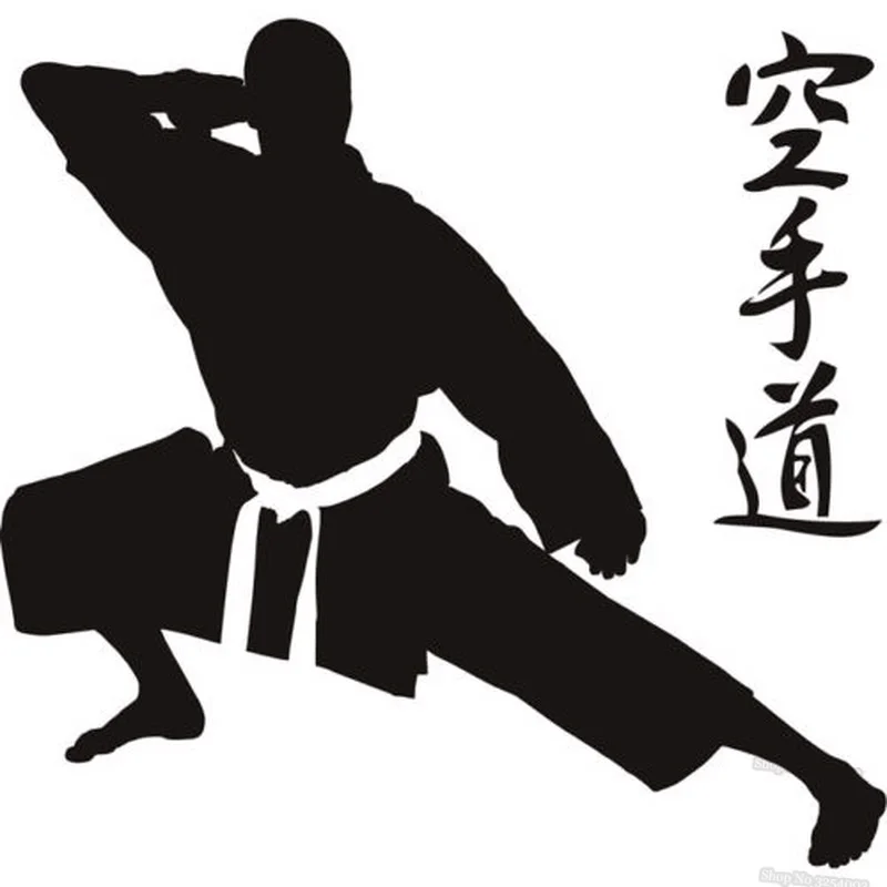 Vinyl Wall Decals Martial Arts Pose Symbol Extreme Sports & Fighting Wall Sticker Sport Art Decals For Boys Bedroom L019
Vinyl Wall Decals Martial Arts Pose Symbol Extreme Sports & Fighting Wall Sticker Sport Art Decals For Boys Bedroom L019