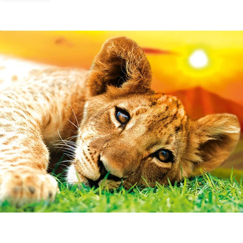5D DIY Diamond painting leopard at sunset Full square/Round Diamond embroidery Cross Stitch Rhinestone Mosaic decor NX
5D DIY Diamond painting leopard at sunset Full square/Round Diamond embroidery Cross Stitch Rhinestone Mosaic decor NX