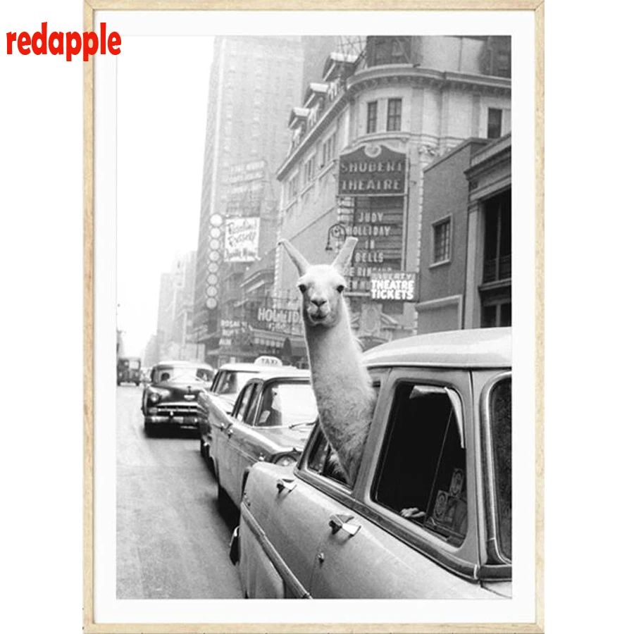 5d Diy Diamond Painting Diamond Pattern Beadwork Pictures Needlework Llama in a taxi on Times full Square Diamond Mosaic Craft
5d Diy Diamond Painting Diamond Pattern Beadwork Pictures Needlework Llama in a taxi on Times full Square Diamond Mosaic Craft
