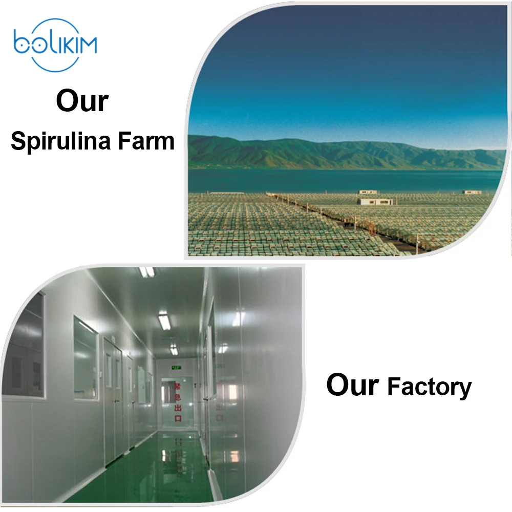 Спирулина марки BOLIKIM 250 мг x 200p|spirulina| |