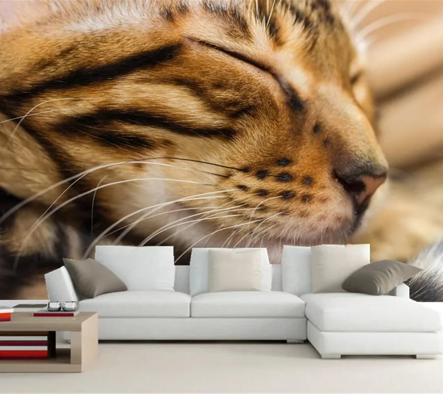 Custom wallpaper for walls 3d,Cats Snout Sleep Whiskers Animals wallpaper,living room sofa TV wall bedroom papel de parede
Custom wallpaper for walls 3d,Cats Snout Sleep Whiskers Animals wallpaper,living room sofa TV wall bedroom papel de parede