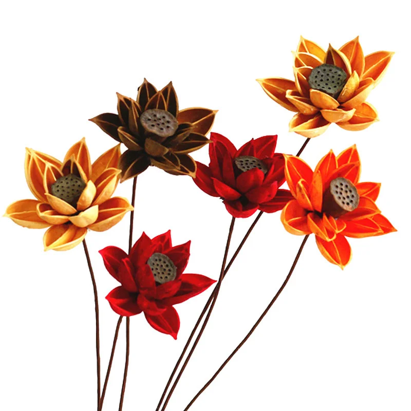 Natural dried fruit shells from the multi-channel plant material Manglietia (Lotus flower) dried flowers of the original flower
Natural dried fruit shells from the multi-channel plant material Manglietia (Lotus flower) dried flowers of the original flower