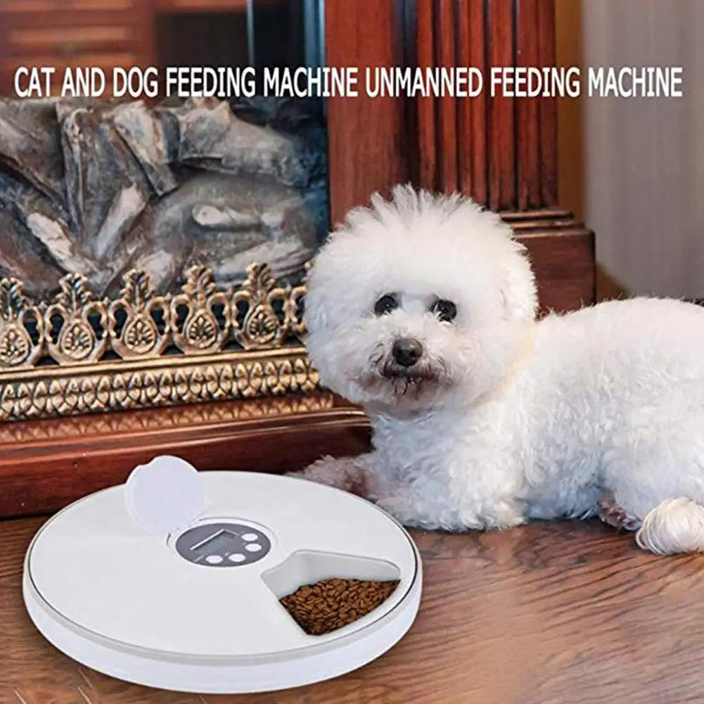 TPFOCUS автоматическая подача синхронизации 6 Grid Cat Dog Электрический диспенсер для
