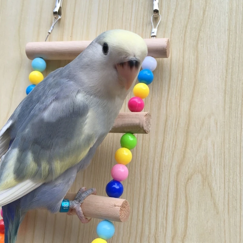 Pet Birds Parrots Ladders Climbing Toy Hanging Colorful Balls With Natural Wood Pets Toy
Pet Birds Parrots Ladders Climbing Toy Hanging Colorful Balls With Natural Wood Pets Toy