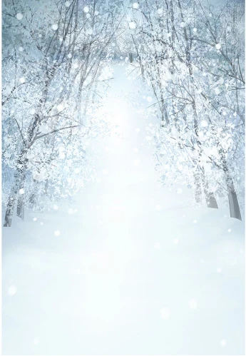 5x7FT Silver Snowflakes Winter Tree Path Road Outdoor Washable Wrinkle Free Photo Studio Background Backdrop Polyester Fabric
5x7FT Silver Snowflakes Winter Tree Path Road Outdoor Washable Wrinkle Free Photo Studio Background Backdrop Polyester Fabric