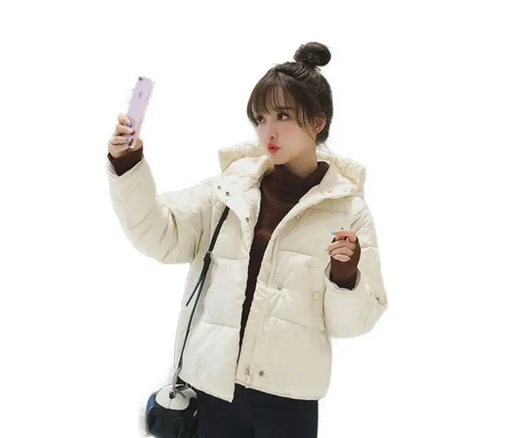 Winter Jacket women 2018 New Design Autumn Winter Coat Women Jacket Woman Parkas Outerwear Down jacket Winter Jacket Female Coat
Winter Jacket women 2018 New Design Autumn Winter Coat Women Jacket Woman Parkas Outerwear Down jacket Winter Jacket Female Coat