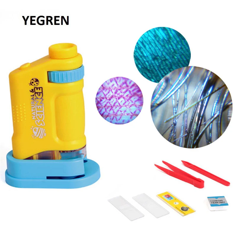 80X Illuminated Handheld Microscope Set with Slides Tweezer for Child Biological Science Exploration Experimental Teaching Tools
80X Illuminated Handheld Microscope Set with Slides Tweezer for Child Biological Science Exploration Experimental Teaching Tools