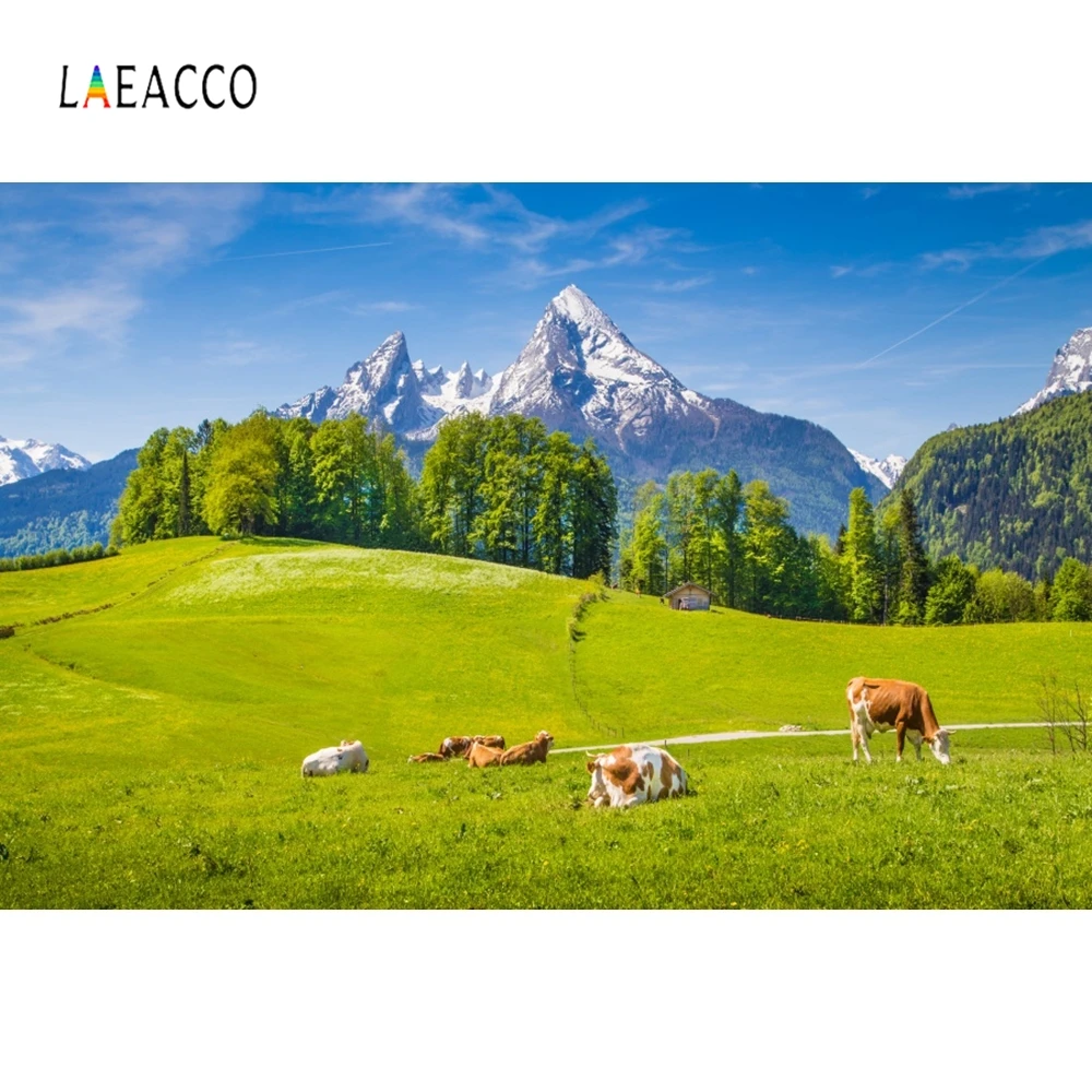 Laeacco Mountain Grassland Nature landscape Cattle Photography Backdrops Personalized Photographic Backgrounds For Photo Studio
Laeacco Mountain Grassland Nature landscape Cattle Photography Backdrops Personalized Photographic Backgrounds For Photo Studio