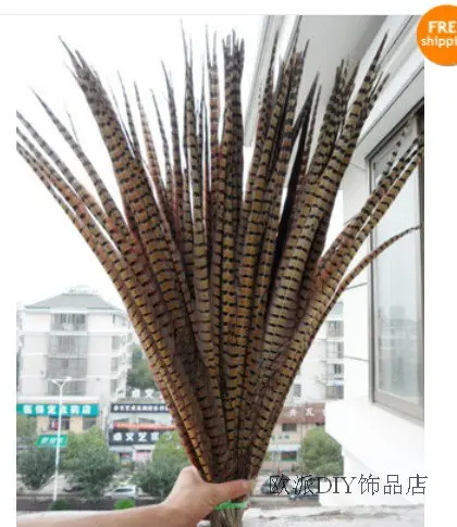 Free shipping 50 PCS long Natural color pheasant tail feathers 22-24inches/55-60cm
Free shipping 50 PCS long Natural color pheasant tail feathers 22-24inches/55-60cm