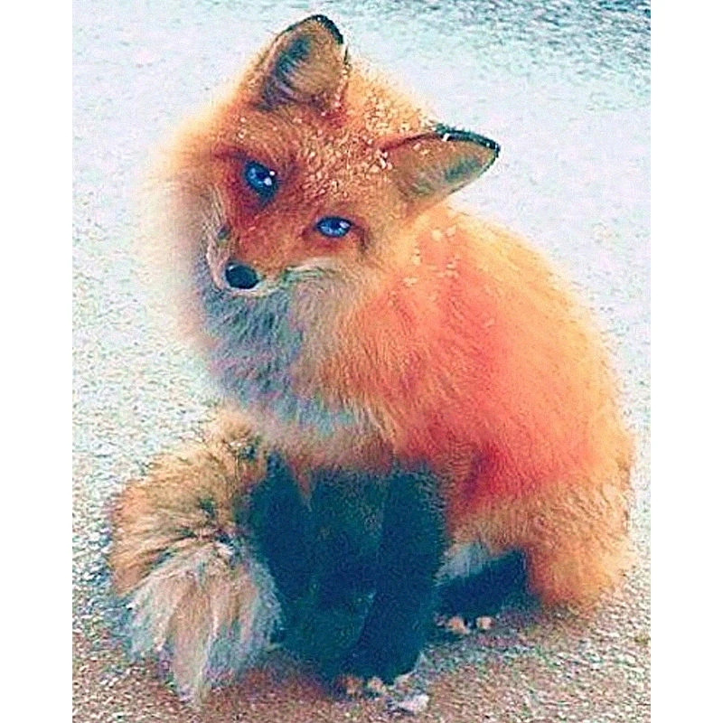 5d Diamond Painting Fox Special Shaped Diamond Embroidery Sale Animal Full Round Mosaic Picture Of Rhinestone Decor Home
5d Diamond Painting Fox Special Shaped Diamond Embroidery Sale Animal Full Round Mosaic Picture Of Rhinestone Decor Home