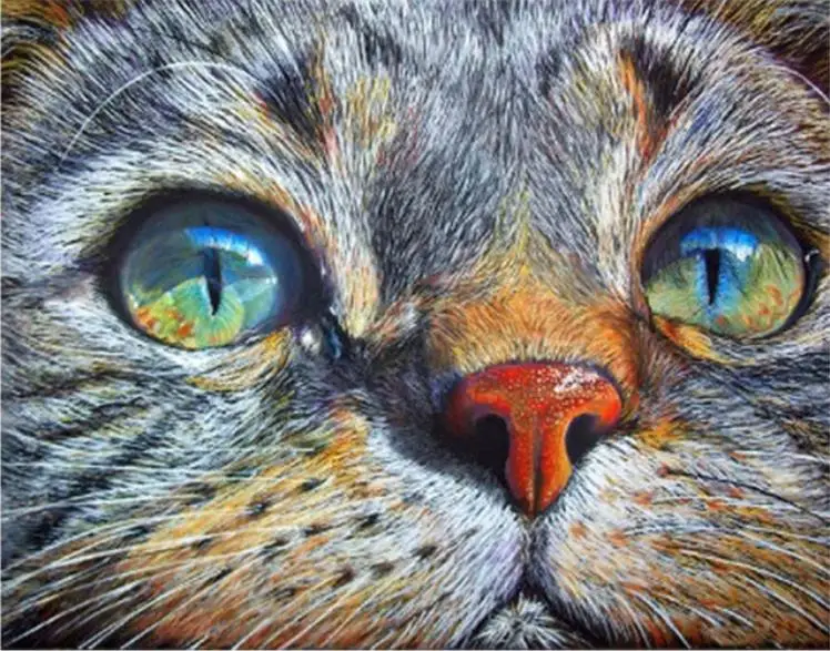 Cat diy diamond painting cartoon cats diamond painting full round wolf daimond painting cats diamond embroidery
Cat diy diamond painting cartoon cats diamond painting full round wolf daimond painting cats diamond embroidery