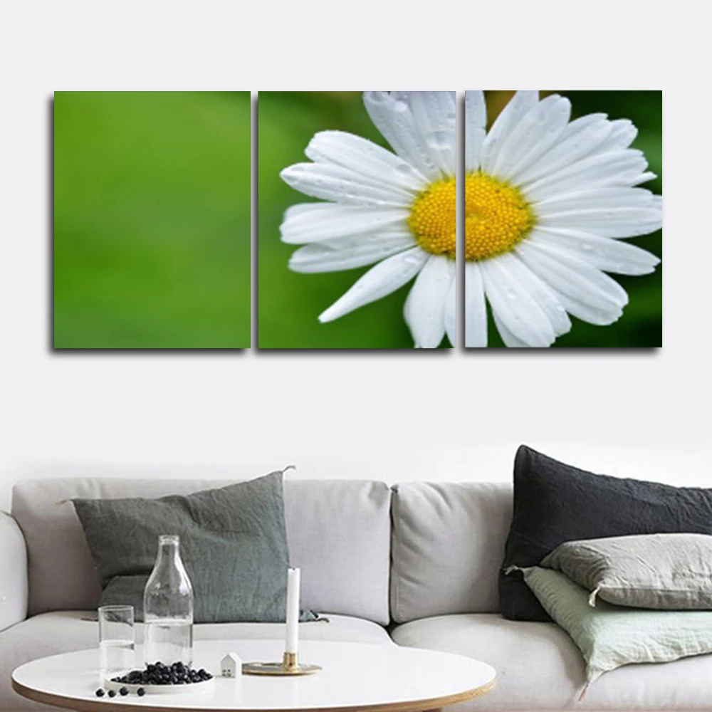 Laeacco Abstract Wall Artwork Garden Posters and Prints 3 Panel Blooming White Flower Paintings Pictures Home Living Room Decor
Laeacco Abstract Wall Artwork Garden Posters and Prints 3 Panel Blooming White Flower Paintings Pictures Home Living Room Decor