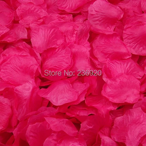 1000pcs Romantic Wedding Artificial Rose Petals Decorative Flowers Christmas Party Festival Decorations HB-003
1000pcs Romantic Wedding Artificial Rose Petals Decorative Flowers Christmas Party Festival Decorations HB-003