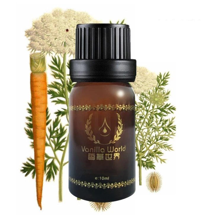 Free shipping 10ml repair Carrot seed Essential Oil hot selling beauty products D13
Free shipping 10ml repair Carrot seed Essential Oil hot selling beauty products D13