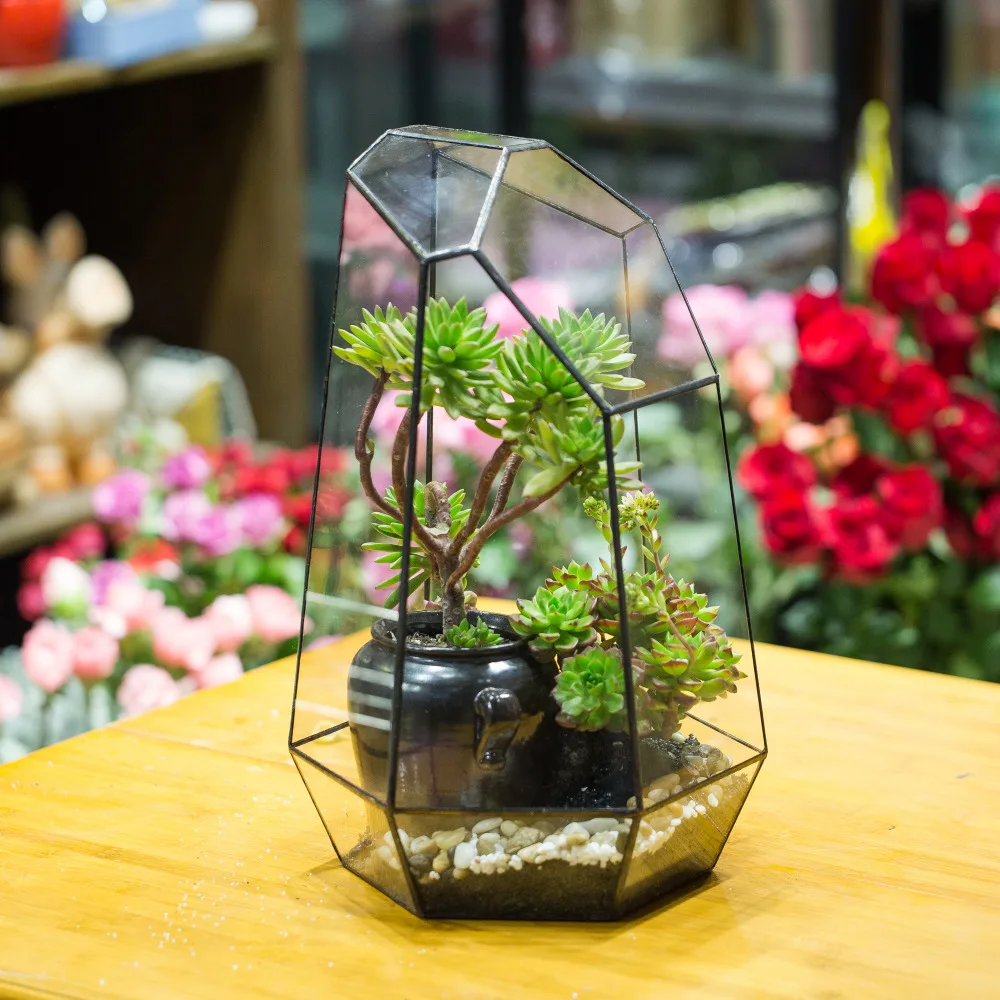 41cm Big Irregular Tabletop Succulent Plants Glass Geometric Terrarium Box Planter Window Sill Flower Pot Ferns Bonsai Container
41cm Big Irregular Tabletop Succulent Plants Glass Geometric Terrarium Box Planter Window Sill Flower Pot Ferns Bonsai Container