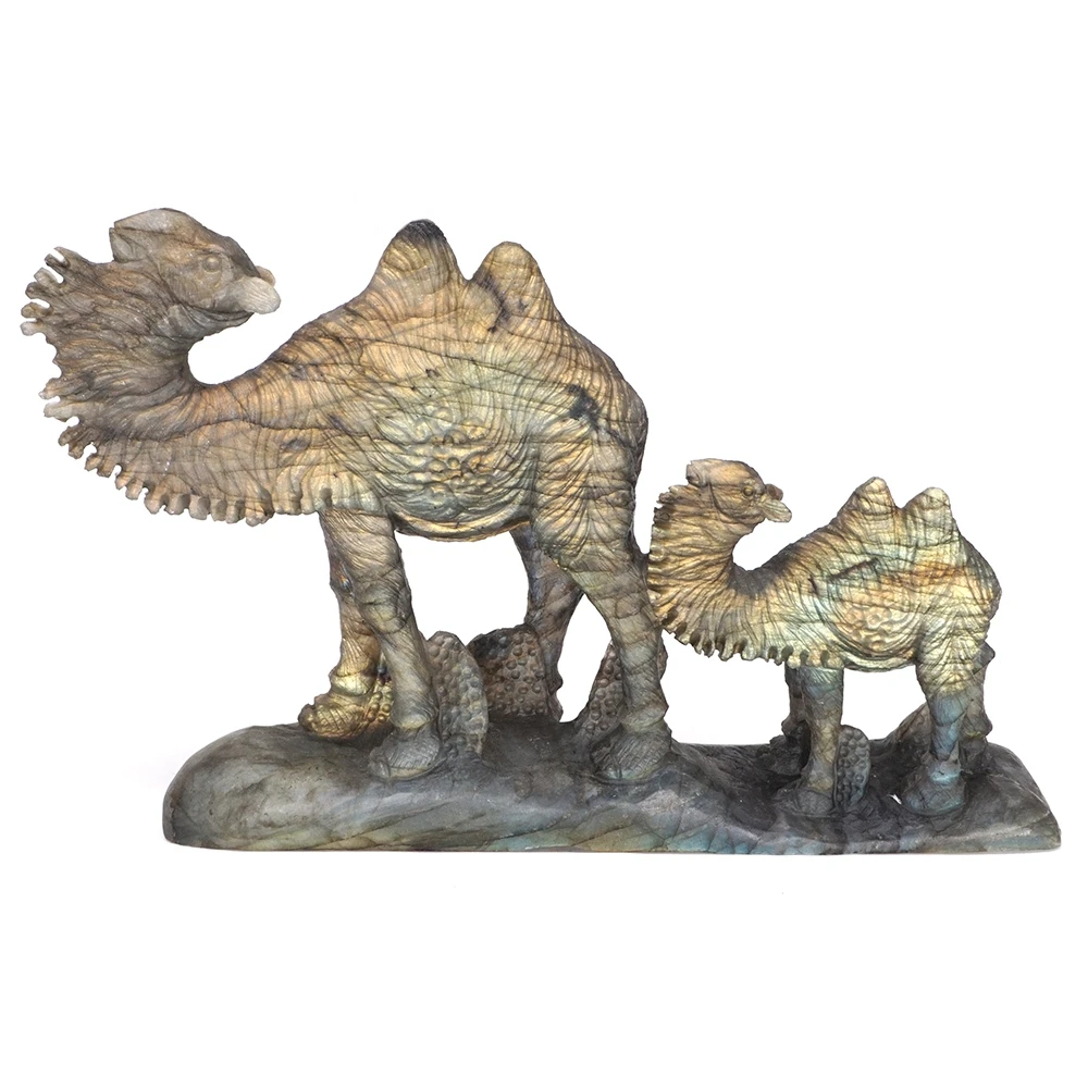 8.8" Camel Statue Natural Labradorite Crystal Stone Carved Animal Figurine Craft HomeDecor
8.8" Camel Statue Natural Labradorite Crystal Stone Carved Animal Figurine Craft HomeDecor