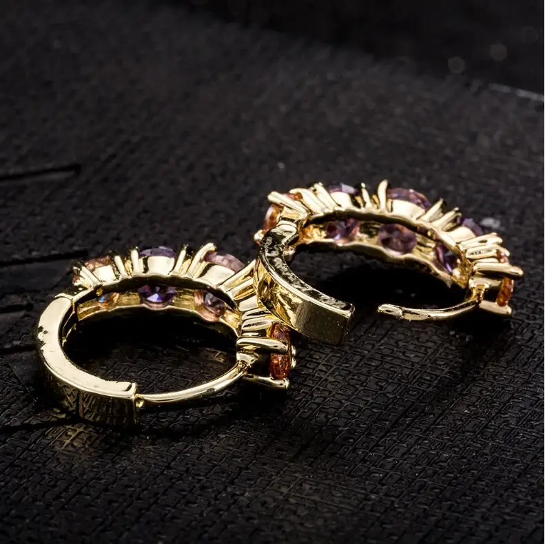 LZX Brand Cute Purple Crystal Hoop Earrings for Women and Girls Gold Color Cubic Zirconia Stone Fashion Wedding Party Jewelry
LZX Brand Cute Purple Crystal Hoop Earrings for Women and Girls Gold Color Cubic Zirconia Stone Fashion Wedding Party Jewelry