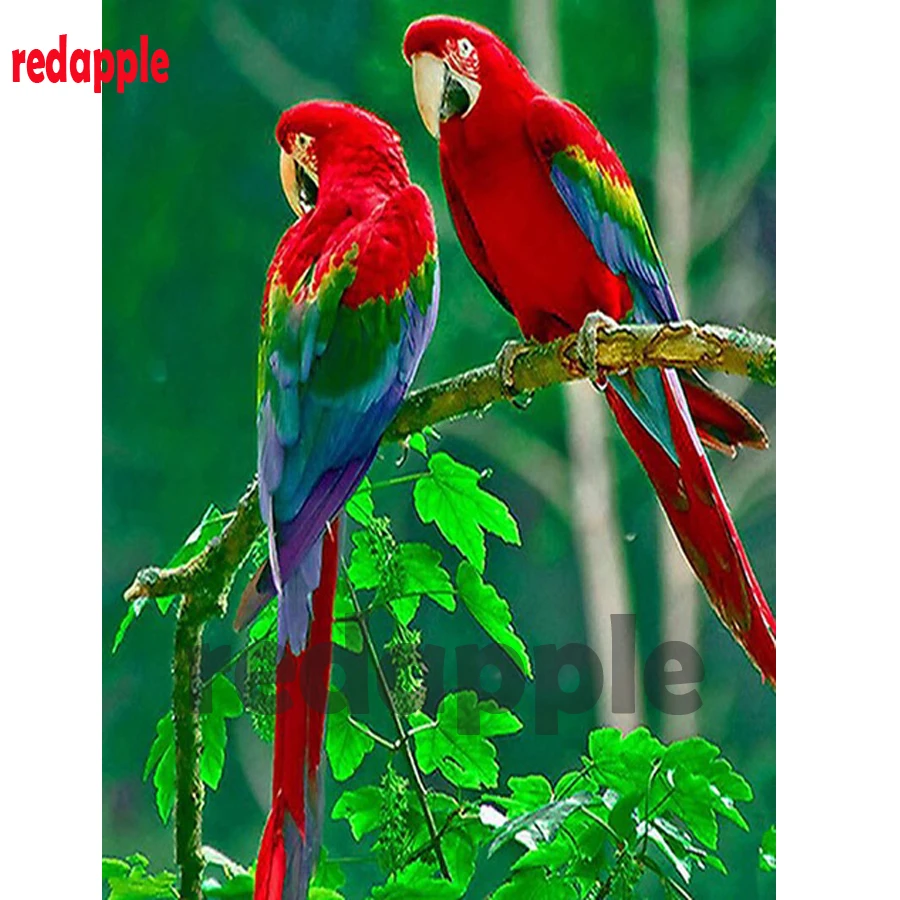 Parrot 5D алмазная живопись Вышивка Птицы мозаика полный квадрат наборы крестиков