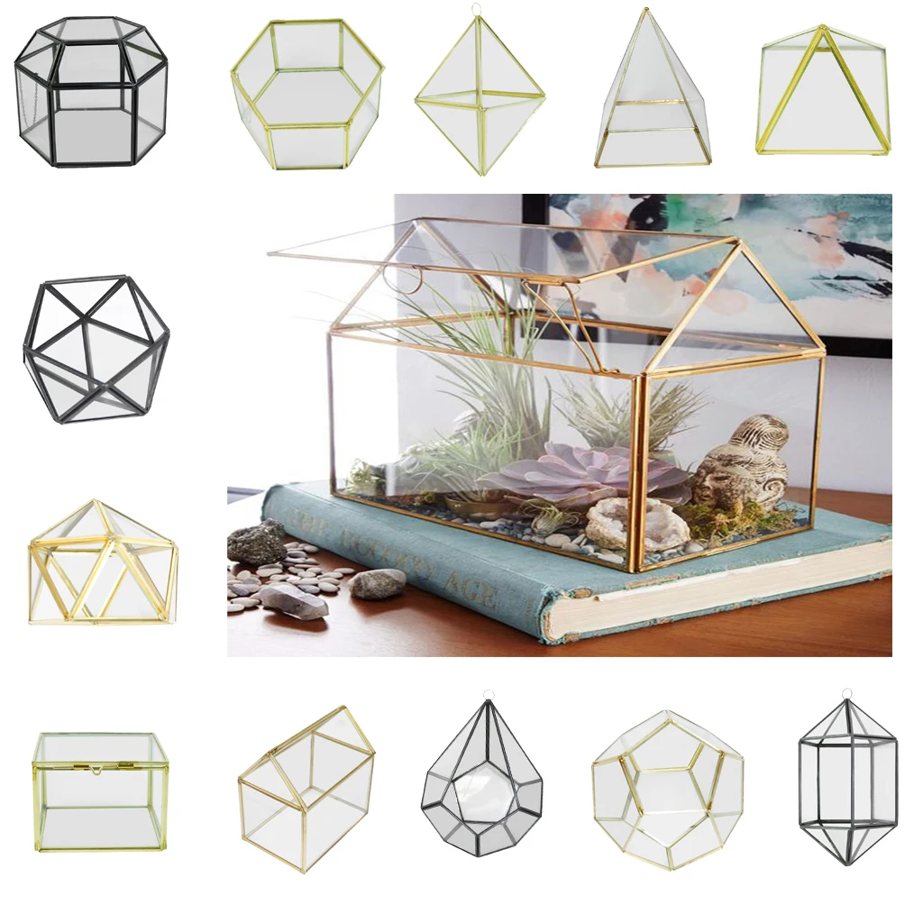 Irregular Glass Geometric Succulent Planter Vase Box Terrarium Container for Home Decoration Gift
Irregular Glass Geometric Succulent Planter Vase Box Terrarium Container for Home Decoration Gift