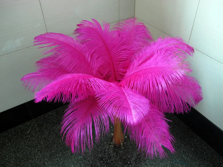 Hot! Free shipping manufacturers selling 10 PCS Mei red ostrich feathers 35-40inches/14-16cm
Hot! Free shipping manufacturers selling 10 PCS Mei red ostrich feathers 35-40inches/14-16cm