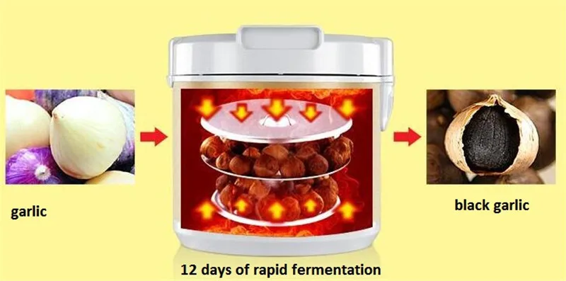 Машина для брожения Черного Чеснока|Кухонные комбайны| |
