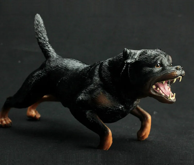 Rottweiler Dog Simulation Model Animals Kids Toys Children Educational Props Farm Animals Pet Kids Toys Desktop Figurine
Rottweiler Dog Simulation Model Animals Kids Toys Children Educational Props Farm Animals Pet Kids Toys Desktop Figurine