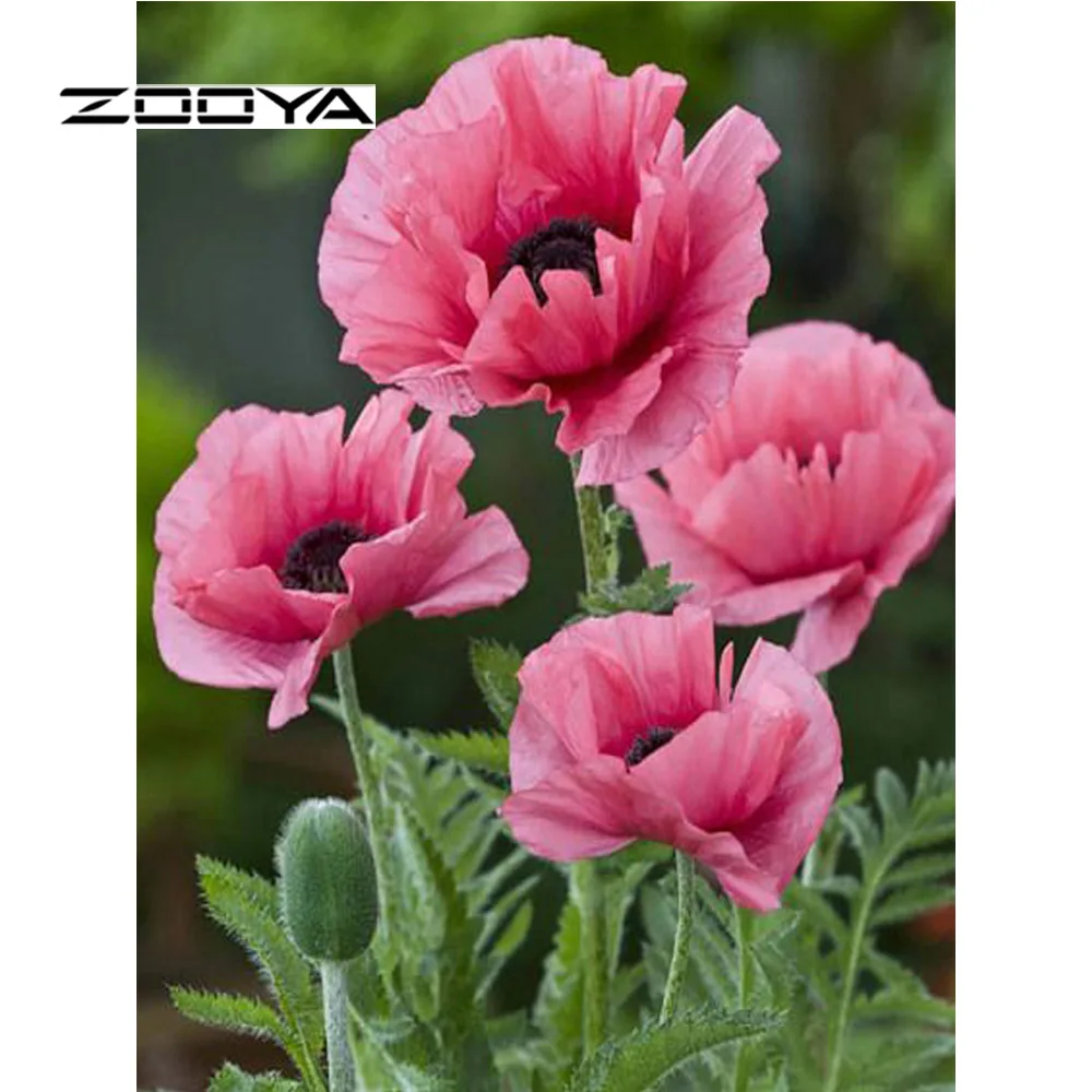 ZOOYA алмазная живопись полный квадратный цветок Алмазная вышивка распродажа 5D DIY