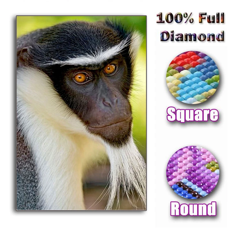 Full Square/Round Drill 5D DIY Diamond Painting "Animal monkey" Embroidery Cross Stitch Mosaic Home Decor Gift
Full Square/Round Drill 5D DIY Diamond Painting "Animal monkey" Embroidery Cross Stitch Mosaic Home Decor Gift
