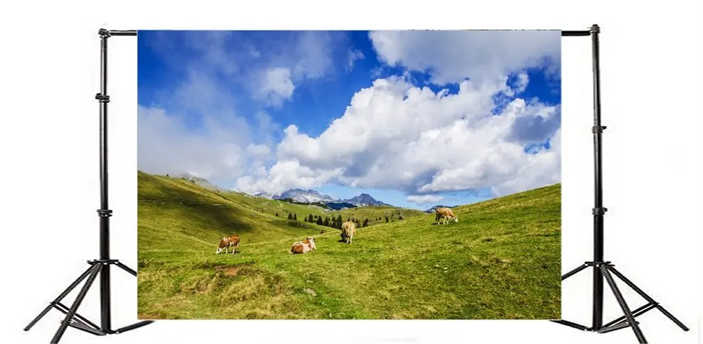 Photography Backdrop Prairie Nature Landscape Cow Grassland Blue Sky White Cloud Mountain Spring Travel
Photography Backdrop Prairie Nature Landscape Cow Grassland Blue Sky White Cloud Mountain Spring Travel