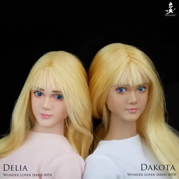 Женская экшн-фигурка WLS005A, модель с подвижными глазами, масштаб 1:6, 12 дюймов
Женская экшн-фигурка WLS005A, модель с подвижными глазами, масштаб 1:6, 12 дюймов