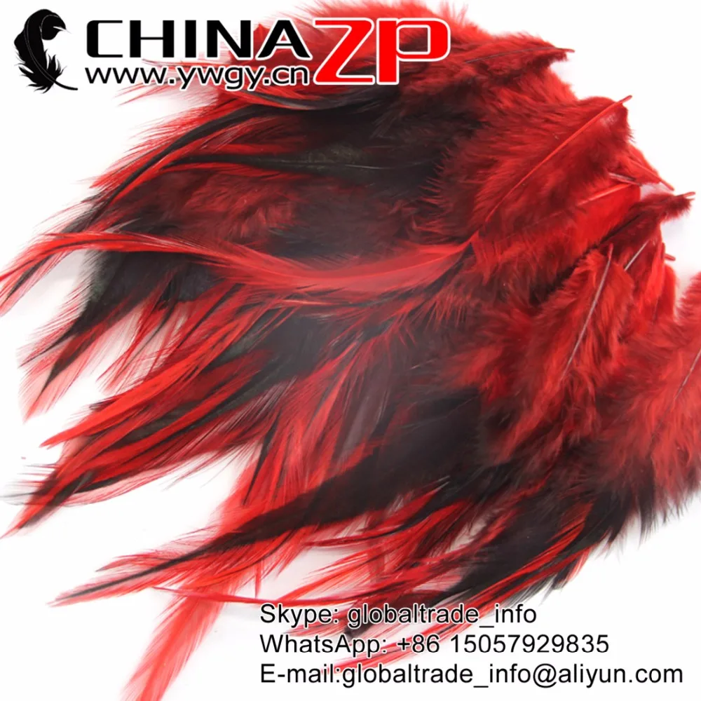 CHINAZP Feathers Retails 50pcs/lot Fantastic DIY Decoration Dyed Red Rooster Laced Pointy Cape Feathers for Sale
CHINAZP Feathers Retails 50pcs/lot Fantastic DIY Decoration Dyed Red Rooster Laced Pointy Cape Feathers for Sale