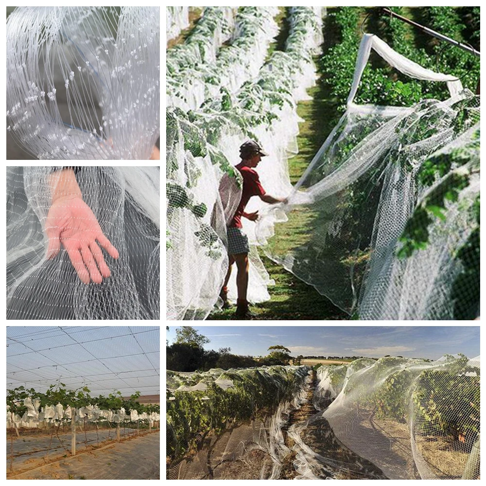 Wholesale Durable Nylon Agriculture Farm Fruit Tree Grape Protection Netting Garden Plant Care Cover Mesh Crops Anti Bird Net
Wholesale Durable Nylon Agriculture Farm Fruit Tree Grape Protection Netting Garden Plant Care Cover Mesh Crops Anti Bird Net