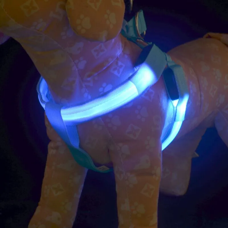 E19 USB rechargerable pet dog harness LED light pet belt luminous dog harness for medium large dogs
E19 USB rechargerable pet dog harness LED light pet belt luminous dog harness for medium large dogs