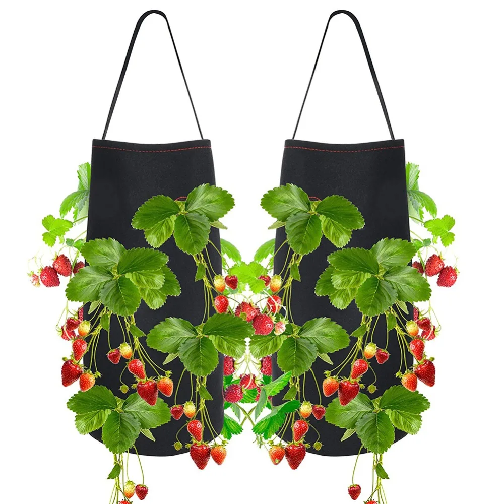 Hanging Strawberry Planting Bag Non-woven Nursery Felt Bare Root Plant Planting Container Horticultural Plant Bag
Hanging Strawberry Planting Bag Non-woven Nursery Felt Bare Root Plant Planting Container Horticultural Plant Bag