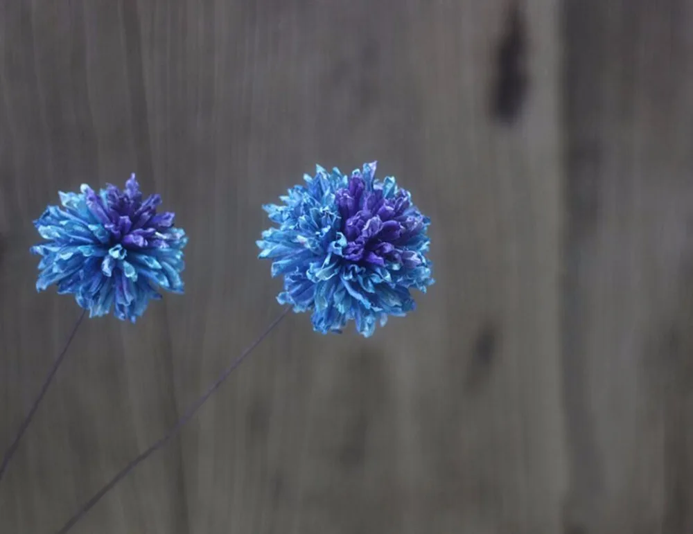 Высушенные цветы Echinops Sphaerocephalus с железными стеблей, 5 шт., для свадьбы, вечеринки, праздника, дома, офиса, места Декоративный букет
Высушенные цветы Echinops Sphaerocephalus с железными стеблей, 5 шт., для свадьбы, вечеринки, праздника, дома, офиса, места Декоративный букет