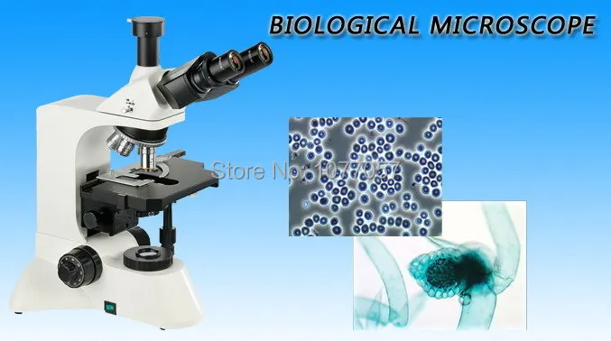 Hot Sale 40X-1000X Trinocular Biological Microscope,Trinocular Compound Microscope With 3.1M Pixel CMOS Digital Camera BM-L3200
Hot Sale 40X-1000X Trinocular Biological Microscope,Trinocular Compound Microscope With 3.1M Pixel CMOS Digital Camera BM-L3200