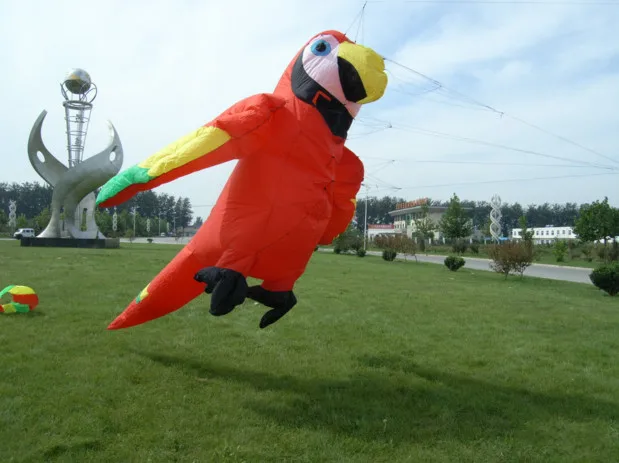 fishing rainbow parrot papagaio voador pipas de voar large inflatable animals rainbow sport weather vane soft kite control bar
fishing rainbow parrot papagaio voador pipas de voar large inflatable animals rainbow sport weather vane soft kite control bar