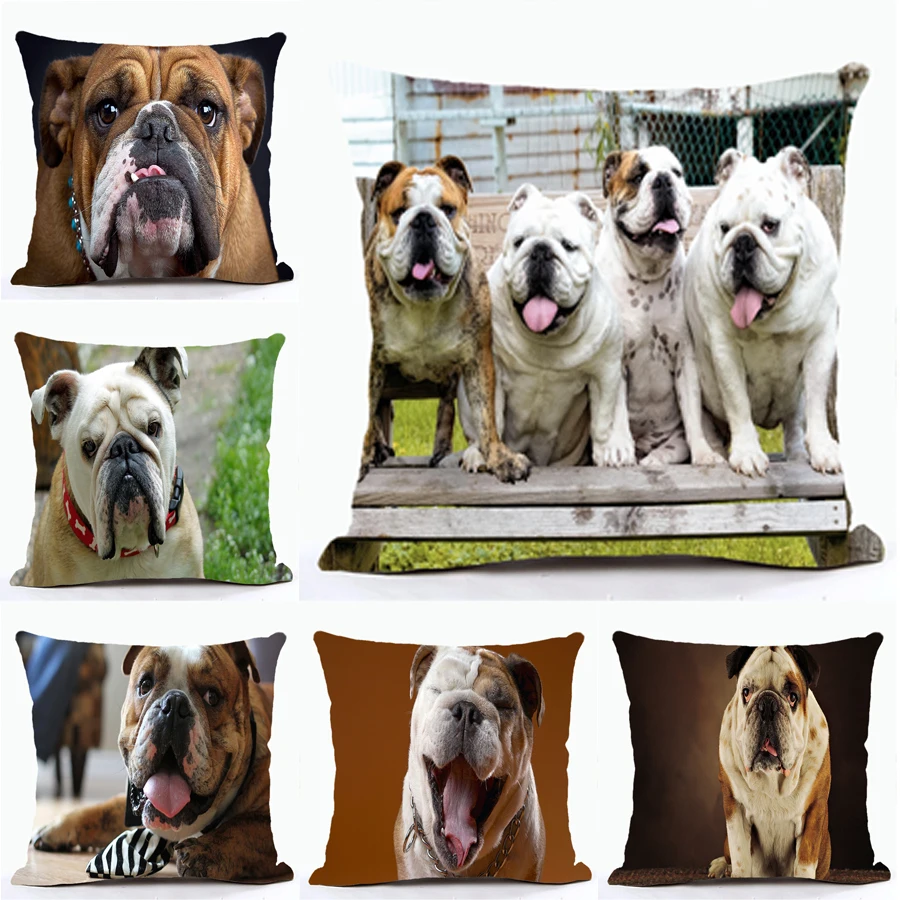 European Meng French Bulldog Dog Series Cushions Cover Cute Animals Pillow Case Cojines Decorativos Para Sofa Wholesale
European Meng French Bulldog Dog Series Cushions Cover Cute Animals Pillow Case Cojines Decorativos Para Sofa Wholesale