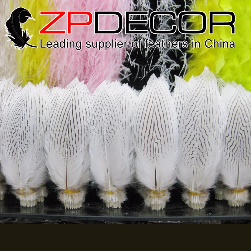 ZPDECOR 15-20 см (6-8 дюймов) 100 шт./лот красивый натуральный белый серебряный перья фазана для карнавала украшения и DIY
ZPDECOR 15-20 см (6-8 дюймов) 100 шт./лот красивый натуральный белый серебряный перья фазана для карнавала украшения и DIY