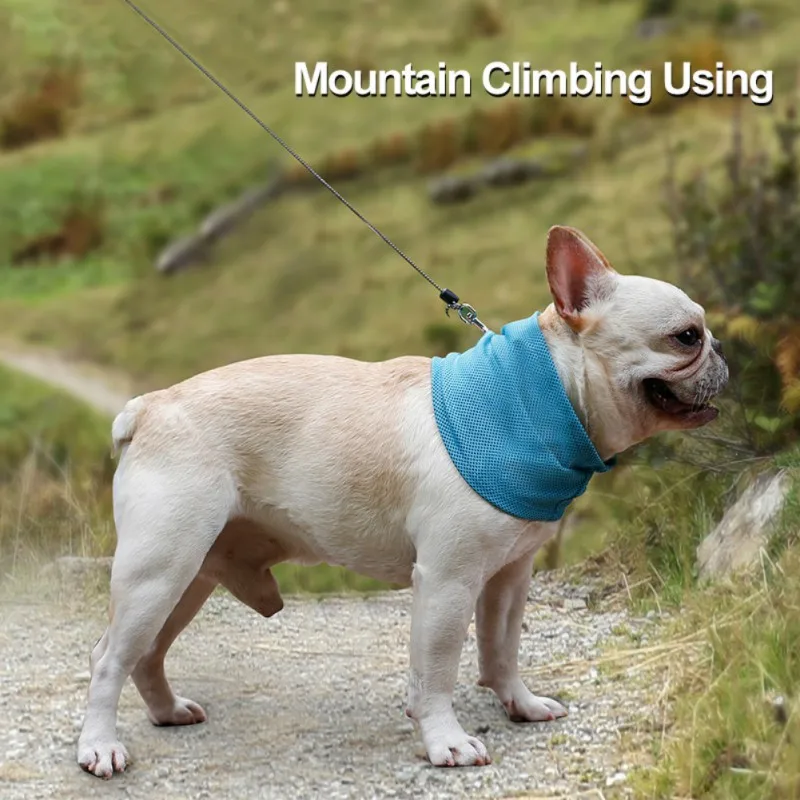 New Instant Cooling Pet Bandana Dog Scarf Bulldog Summer Cooling Towel Wrap Dog Collar
New Instant Cooling Pet Bandana Dog Scarf Bulldog Summer Cooling Towel Wrap Dog Collar