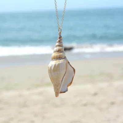 Summer Natural Conch Sea Shell Necklaces for Women Gold Long Chain Pendant Necklace Collier Femme Shell Jewelry
Summer Natural Conch Sea Shell Necklaces for Women Gold Long Chain Pendant Necklace Collier Femme Shell Jewelry