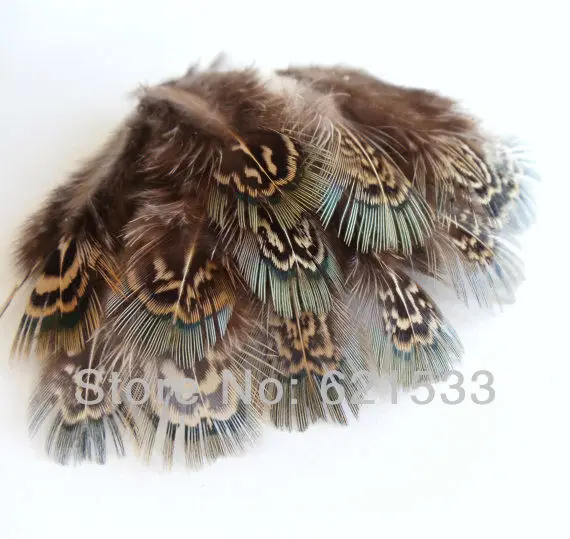 200Pcs/Lot 1.5"-2.5" 4-7cm GREEN ALMONDS, Ringneck Pheasant Plumage for jewelry making, millinery, crafts,fly fishing
200Pcs/Lot 1.5"-2.5" 4-7cm GREEN ALMONDS, Ringneck Pheasant Plumage for jewelry making, millinery, crafts,fly fishing
