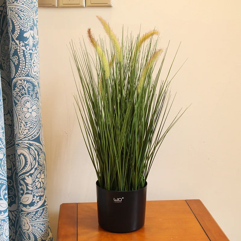 Simulation Green Plant Bonsai Landing Reed Foxtail Plantas Artificiales Para Decoracion
Simulation Green Plant Bonsai Landing Reed Foxtail Plantas Artificiales Para Decoracion