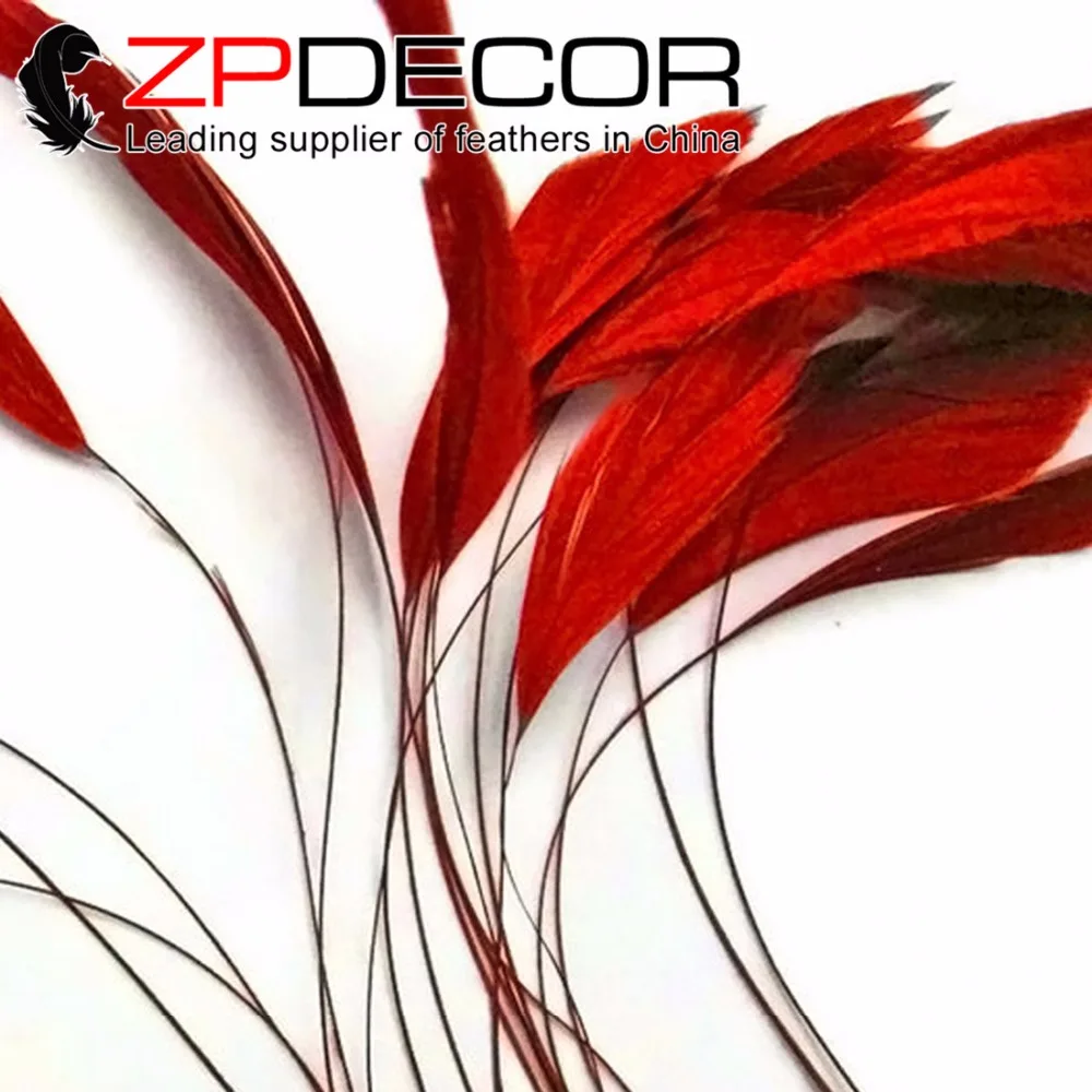 ZPDECOR 100pcs/lot 25-30cm(10-12") Hot Sexy Red Dyed Stripped Rooster Tail Feather Sale Cheap for Carnival Decor and DIY
ZPDECOR 100pcs/lot 25-30cm(10-12") Hot Sexy Red Dyed Stripped Rooster Tail Feather Sale Cheap for Carnival Decor and DIY