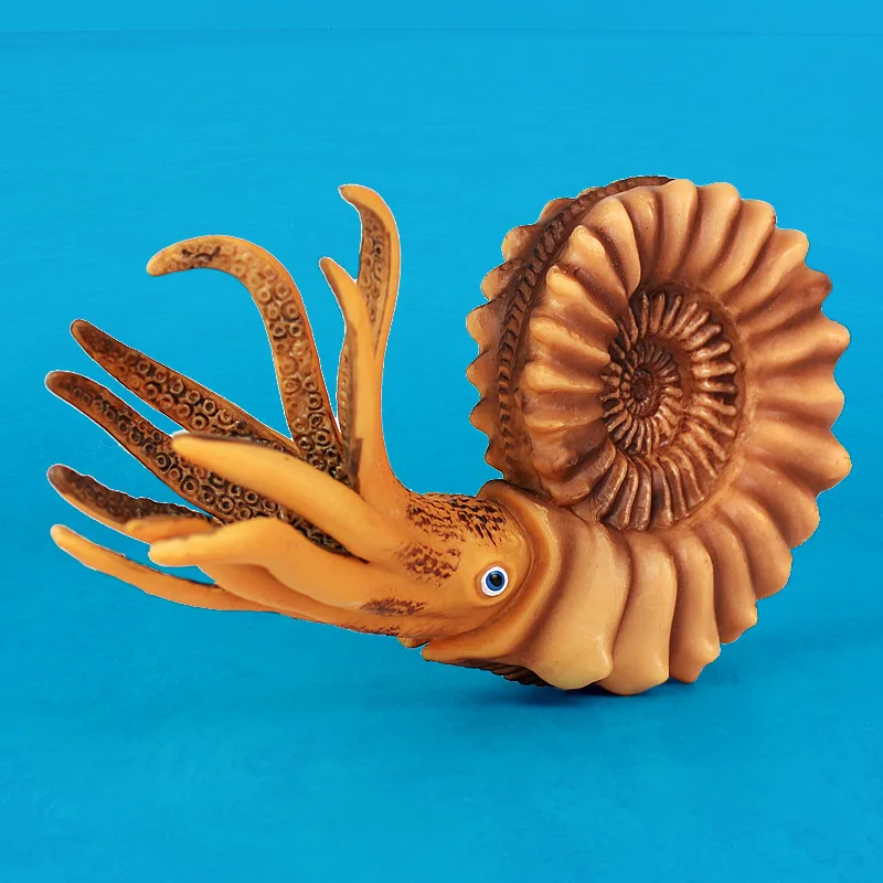 Marine Organism Mollusk Nautilus Model Emulation Sea Life Animals Early Education Toys Collection Gift Decor for Child
Marine Organism Mollusk Nautilus Model Emulation Sea Life Animals Early Education Toys Collection Gift Decor for Child