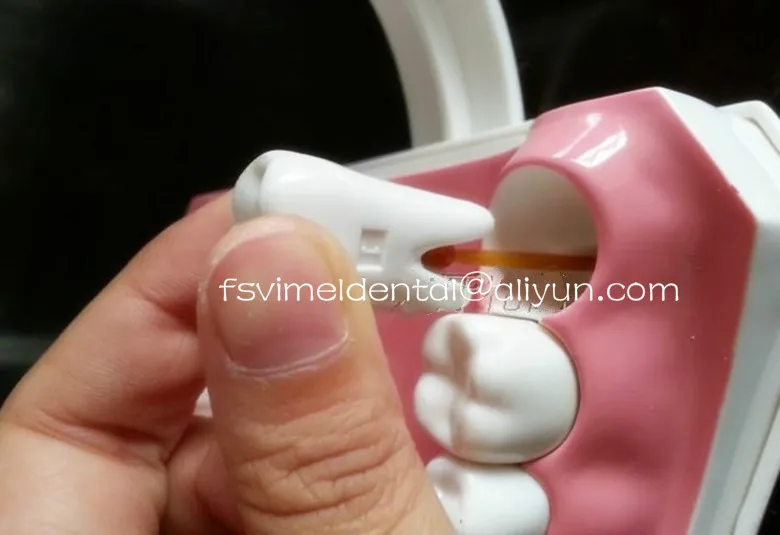 2016 NEW dental tooth model dentist demonstration instrument teeth removable dentistry dentist tool products
2016 NEW dental tooth model dentist demonstration instrument teeth removable dentistry dentist tool products