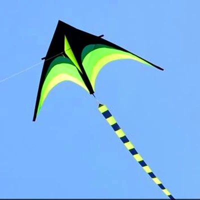 free shipping high quality large delta kite for adults with handle line outdoor flying toy nylon ripstops kite surf octopus kite
free shipping high quality large delta kite for adults with handle line outdoor flying toy nylon ripstops kite surf octopus kite