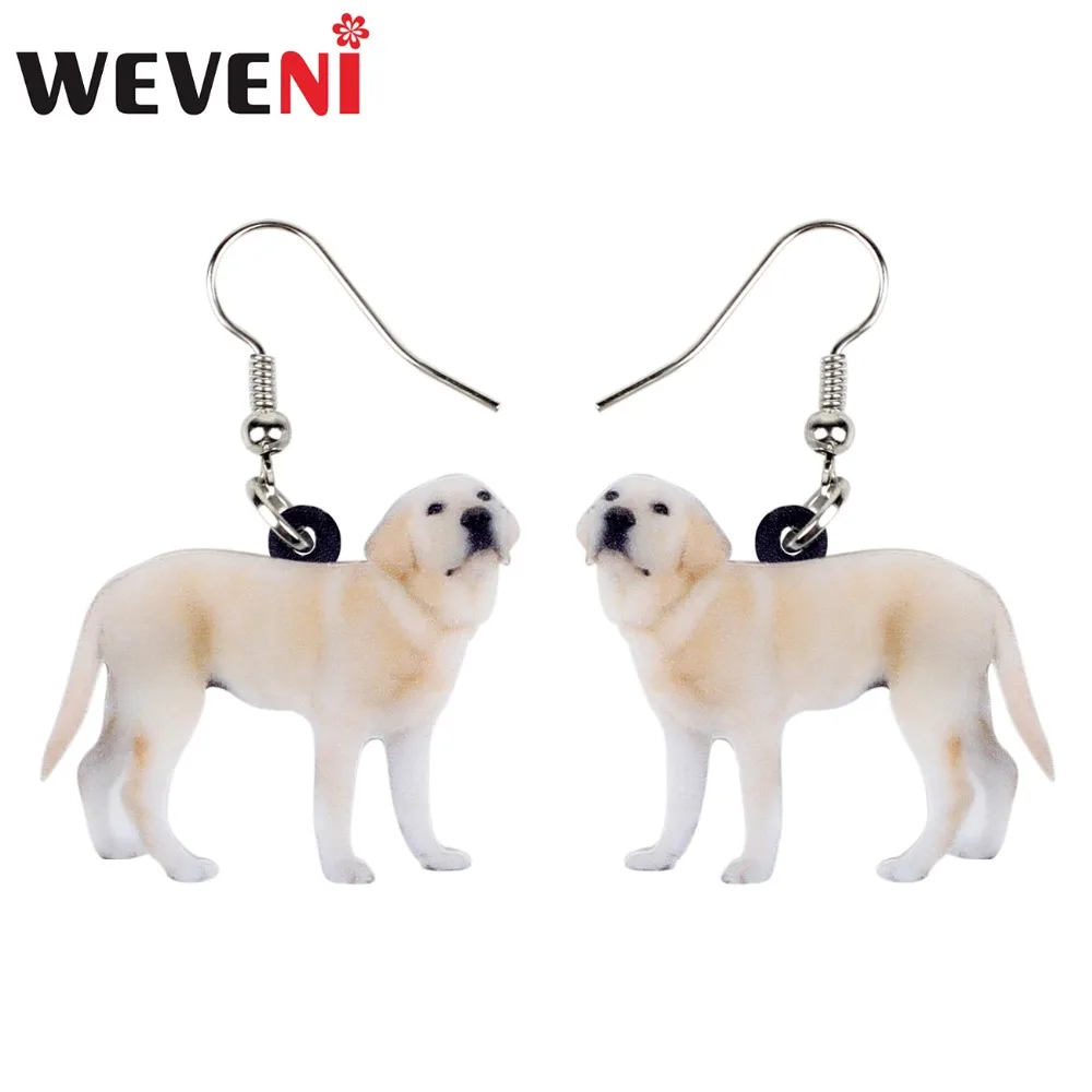 WEVENI Acrylic Standing Labrador Retriever Dog Earrings Dangle Drop Cute Animal Jewelry For Women Girls Pet Lovers Wholesale
WEVENI Acrylic Standing Labrador Retriever Dog Earrings Dangle Drop Cute Animal Jewelry For Women Girls Pet Lovers Wholesale