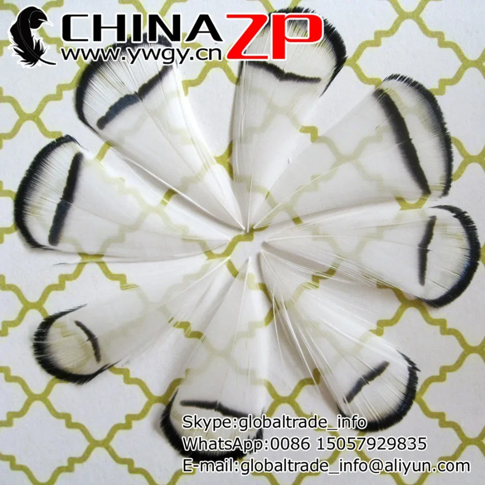 CHINAZP Factory Exporting 100pcs/lot Good Quality White Lady Amherst Pheasant Tippet Feather
CHINAZP Factory Exporting 100pcs/lot Good Quality White Lady Amherst Pheasant Tippet Feather